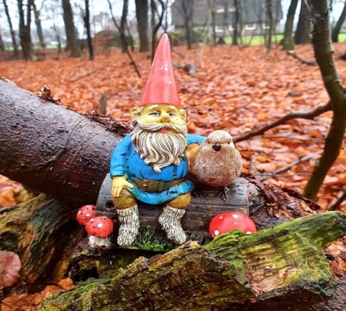 Kabouterbos Vosbergen 15 – 24 oktober Vakantietip| Kabouterbos Vosbergen Heerde